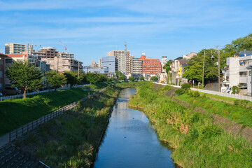 Fototapeta na wymiar 東京都多摩市 聖蹟桜ヶ丘を流れる大栗川