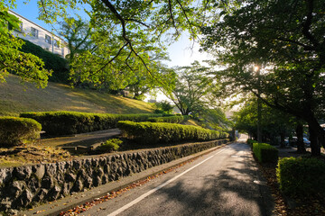 東京都多摩市 聖蹟桜ヶ丘、夕暮れの桜ヶ丘1丁目緑地