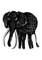 drawing picture old lone kenyan elephant with long tusks, sketch, hand drawn stylized vector digital illustration