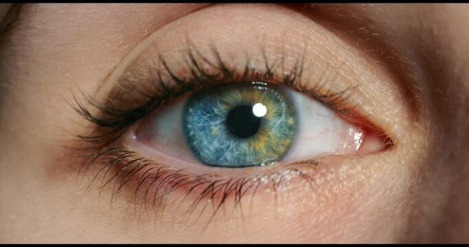 Blue eye, vision and contact lens of a woman face closeup for humanity, awareness or woke society. Eyeball, iris or looking zoom, macro or close up of a person for optometry examination or anatomy