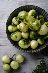 Homegrown green tomatoes still life, selective focus