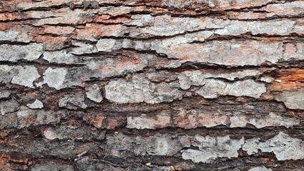 madera