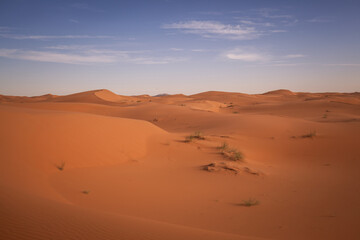 Obraz na płótnie Canvas Wüste Sahara