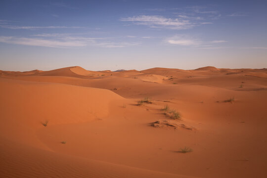 Wüste Sahara © Rebekka