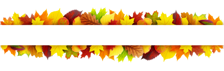 Colorful autumn leaves banner with copy space cut out
