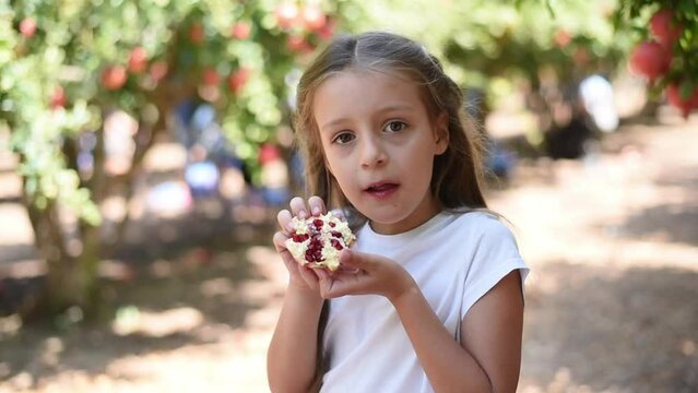 girl in white t-shirt and red skirt eat red juice ripe pomegranate. fruits orchard in Israel with happy child. little one child with big red fruit in hand, with amazing exited smile. time harvest