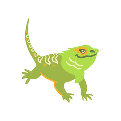 Obraz na płótnie Canvas Lizard Png Format With Transparent Background 