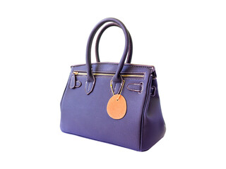 Blue leather Women's handbag