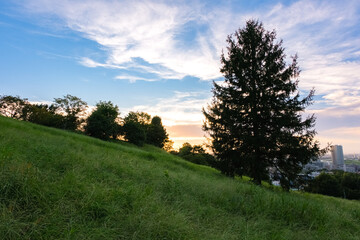 東京都多摩市 聖蹟桜ヶ丘、夕暮れの桜ヶ丘公園、ゆうひの丘