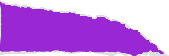 ripped paper element