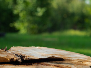 wooden table in the middle of the forest, a cut of a tree, a huge stump on a green background