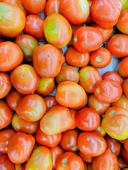 tomatoes on the market