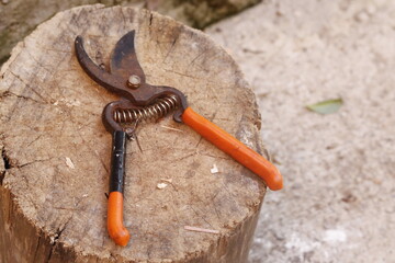 pruning shears