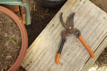 pruning shears