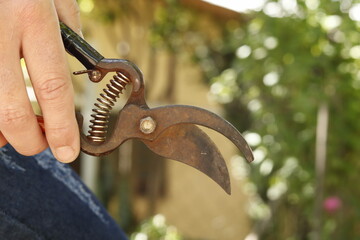 pruning shears