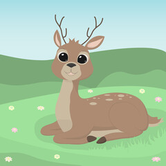 Baby deer on the grass