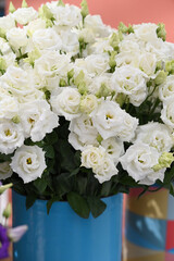 Lysianthus russellianum flowers, white in a blue bucket