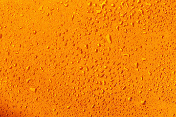 Beautiful wet orange background in drops