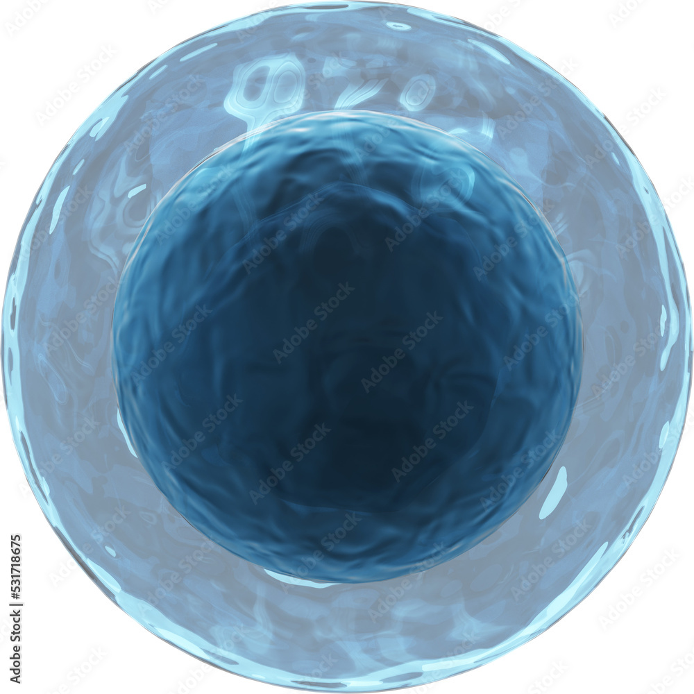 Poster Image of 3d blue white blood cell lymphocyte with translucent membrane