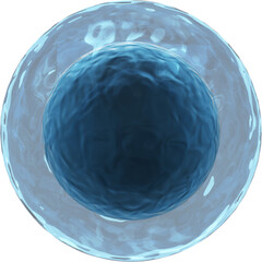 Image of 3d blue white blood cell lymphocyte with translucent membrane