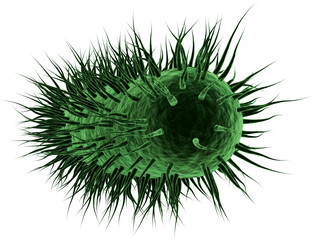Image of 3d green virus or bacteria cell