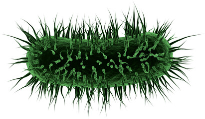 Image of 3d green virus or bacteria cell