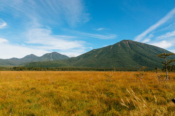秋晴れと草紅葉