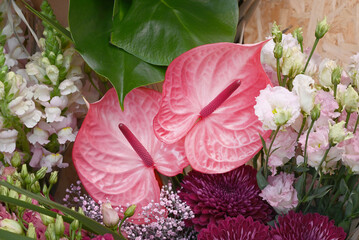 Pink Anthurium flower in a beatiful flower arrangement.