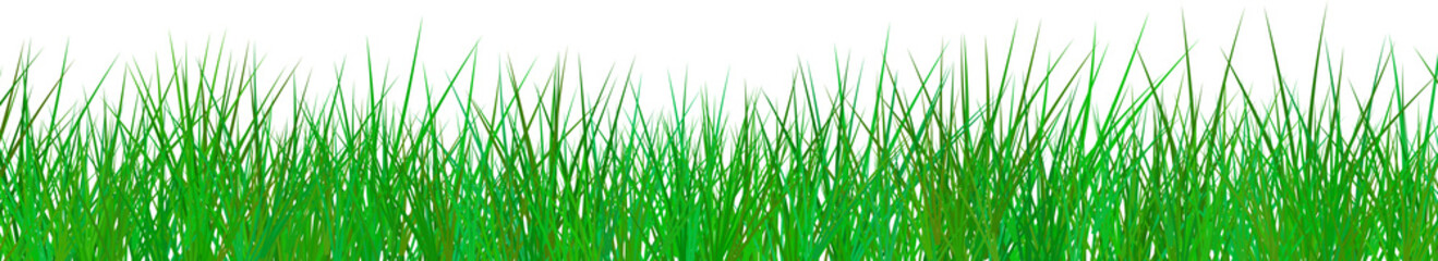 Image of healthy fresh green grass growing