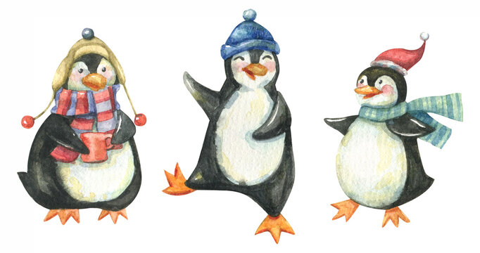 Cute penguins in hats and scarves hand drawn watercolor christmas character set. New Year, Christmas bright watercolor snowmen isolated on white background.