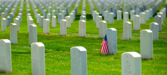 United States Military Cemetery with Headstones for Soldiers