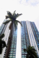 Hochhausfassade in Panama Stadt