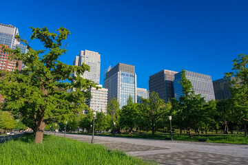 東京都千代田区 行幸通りと丸の内の街並み