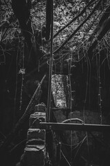 Leerstehendes Horror Haus in schwarzweiss. Eingangsbereich im verlassenen Gebäude. Abandoned...