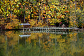 Autumn and Steele Creek Lake and Pavilion