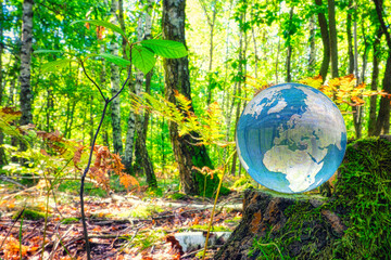 Lensball - Natur - Transparenz - Zerbrechlich - Ecology - Glass Sphere - Bioeconomy - High quality...