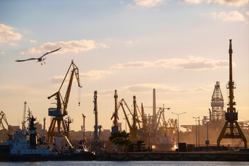 Obraz premium Container terminal, with cranes, in a commercial port