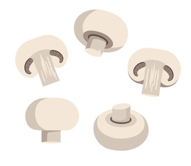 Set of champignons- a whole champignon, half, a piece and a slice. Mushrooms isolated on a white background. Stock vector illustration.