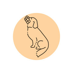 Dog golden retriever in muzzle color line icon. Pictogram for web page
