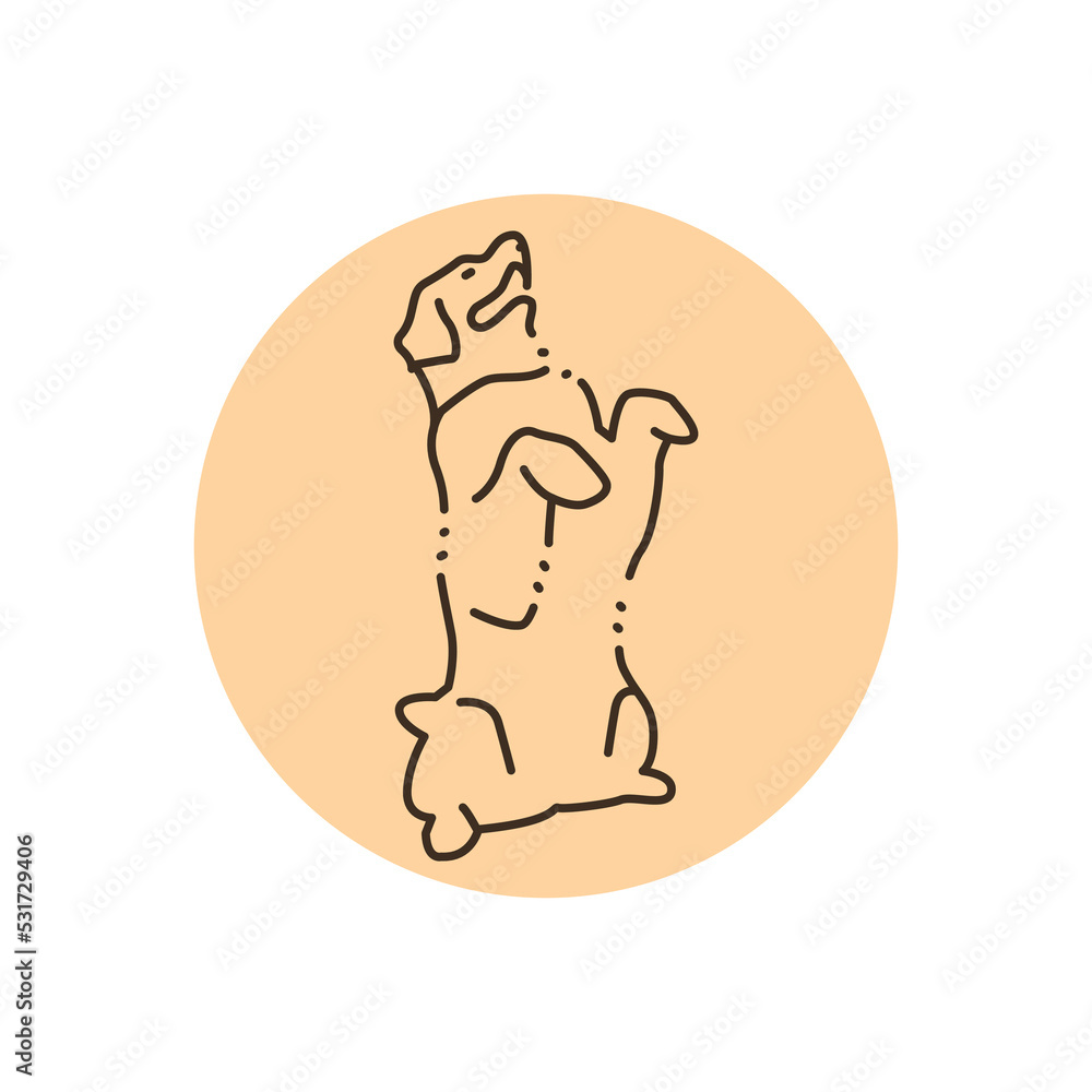 Poster Golder retriever makes command color line icon. Pictogram for web page