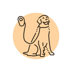 Golder retriever on a leash color line icon. Pictogram for web page
