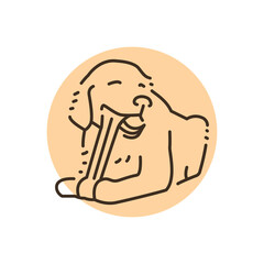 Golder retriever chewing bone color line icon. Pictogram for web page
