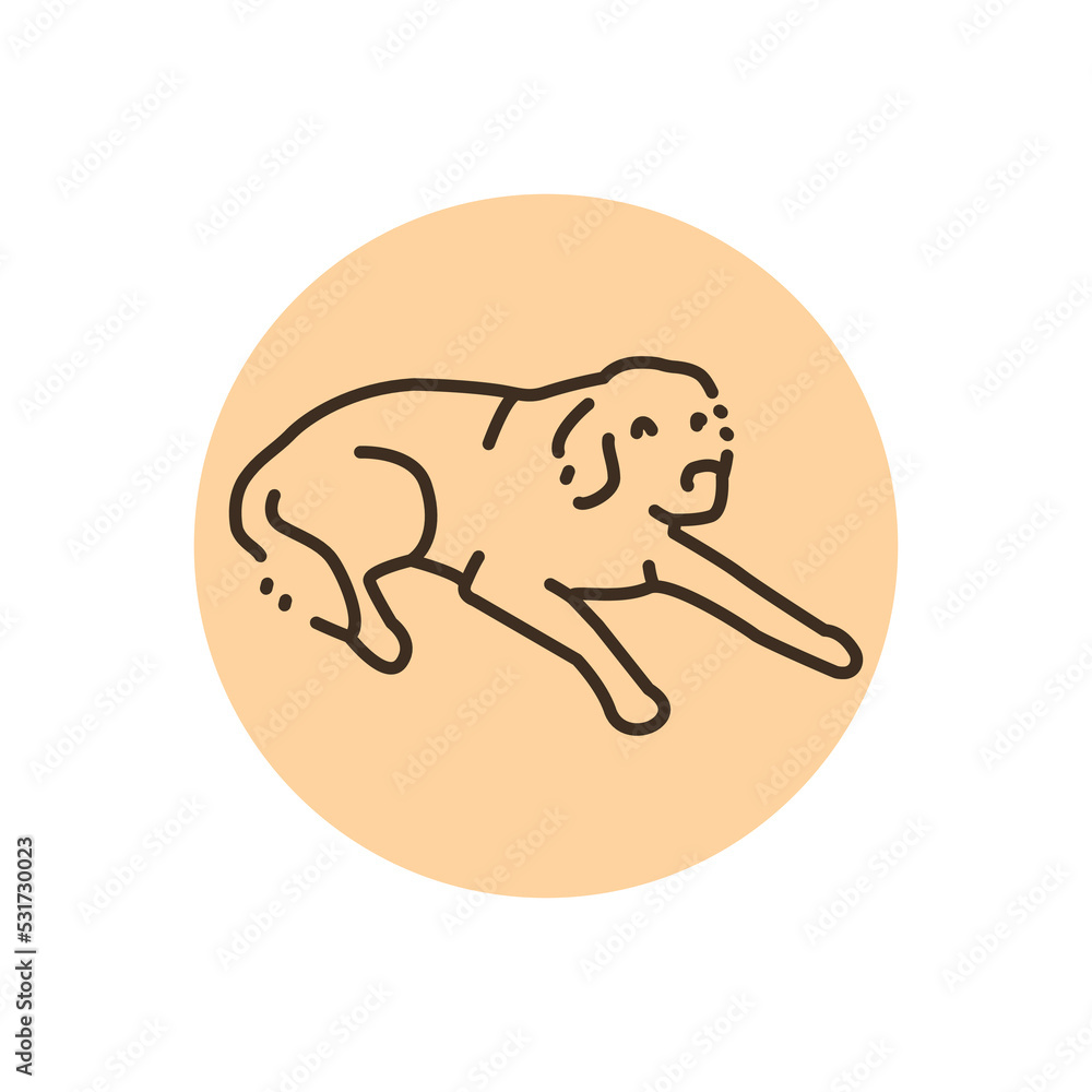 Poster Golder retriever on a leash color line icon. Pictogram for web page