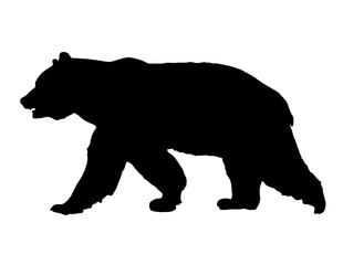 Plakat Silhouette bear isolated on white background