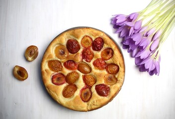 Plum cake on plate, pink crocus flowers, cup of coffee on white background
