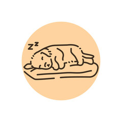 Sleeping puppy color line icon. Pictogram for web page