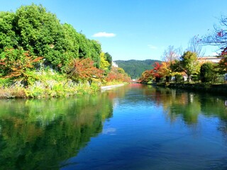 京都の秋・白川