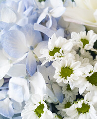 bouquet of blue hydrangeas and green chamomile