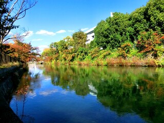 京都の秋・白川
