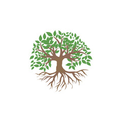 A big banyan tree with roots icon vector illustration isolated on white background